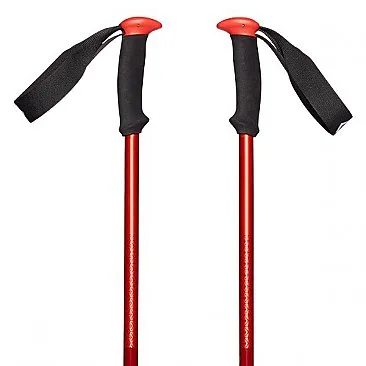 Bastones Black Diamond (Trail Sport Trek Poles)