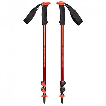 Bastones Black Diamond (Trail Sport Trek Poles)