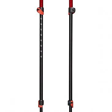 Bastones Black Diamond (Trail Sport Trek Poles)