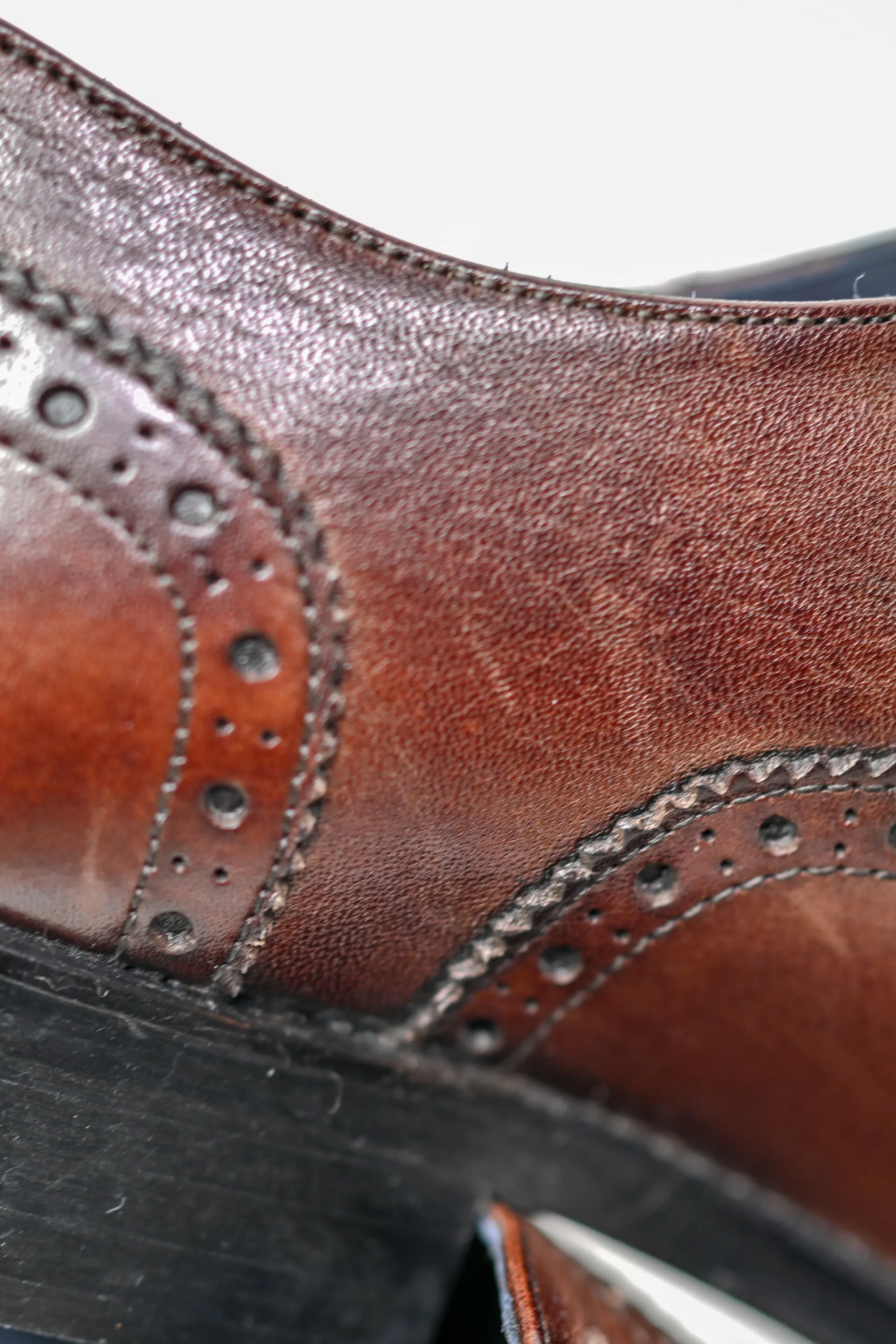 Firmani Wingtip Oxford