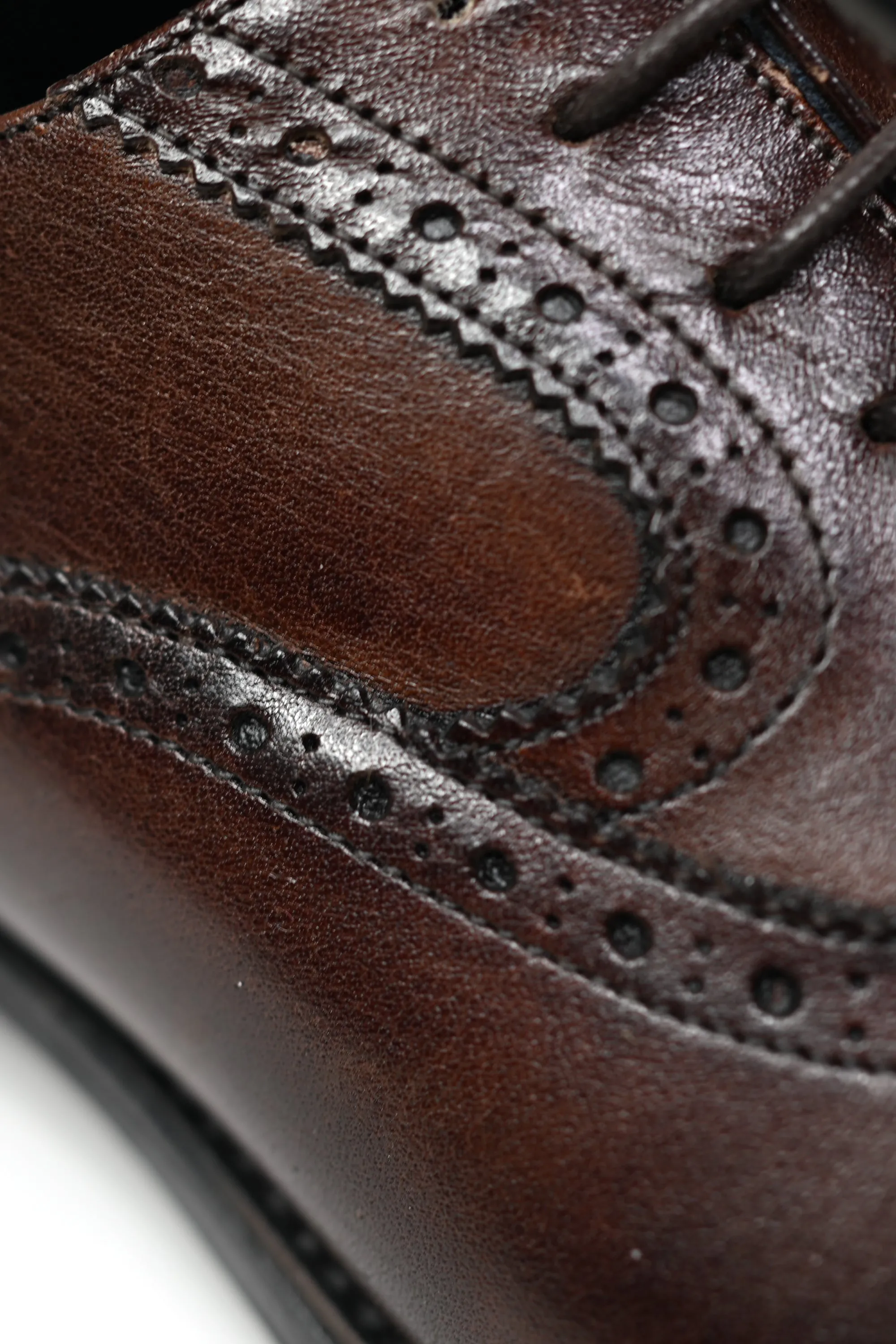 Firmani Wingtip Oxford