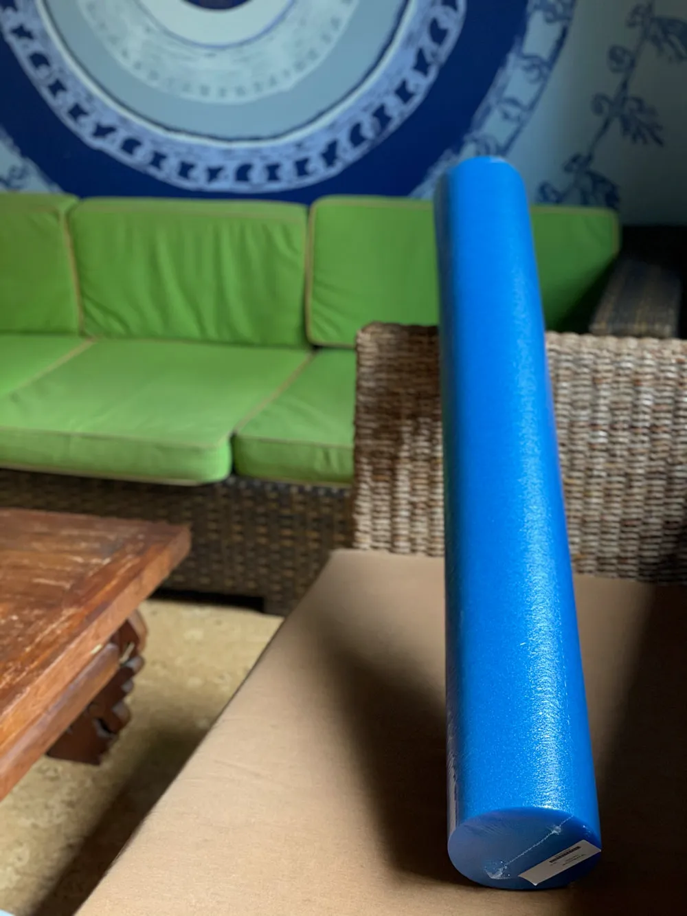 [Journey to Fitness] Others: Foam Rollers