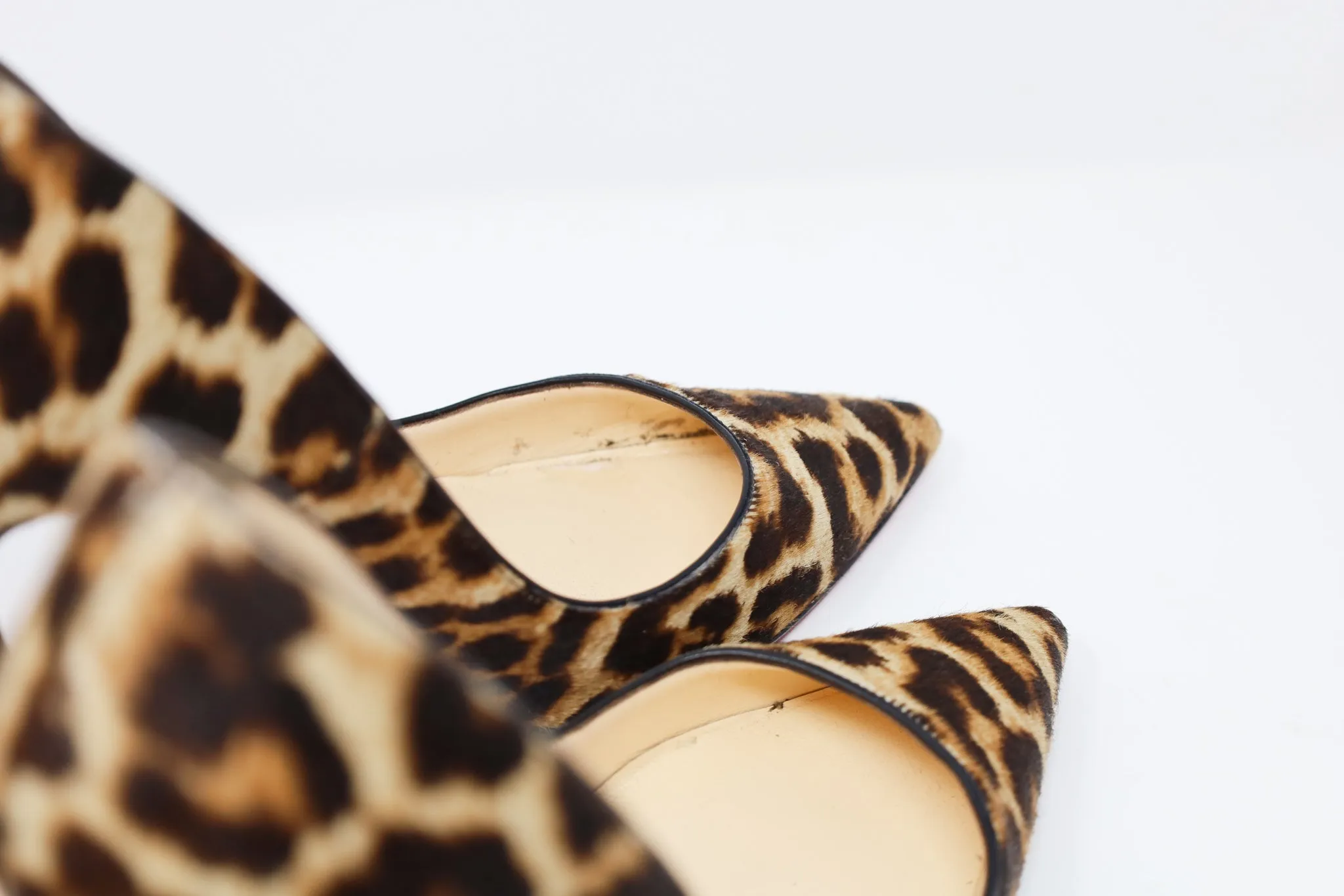 Leopard So Kate 100mm