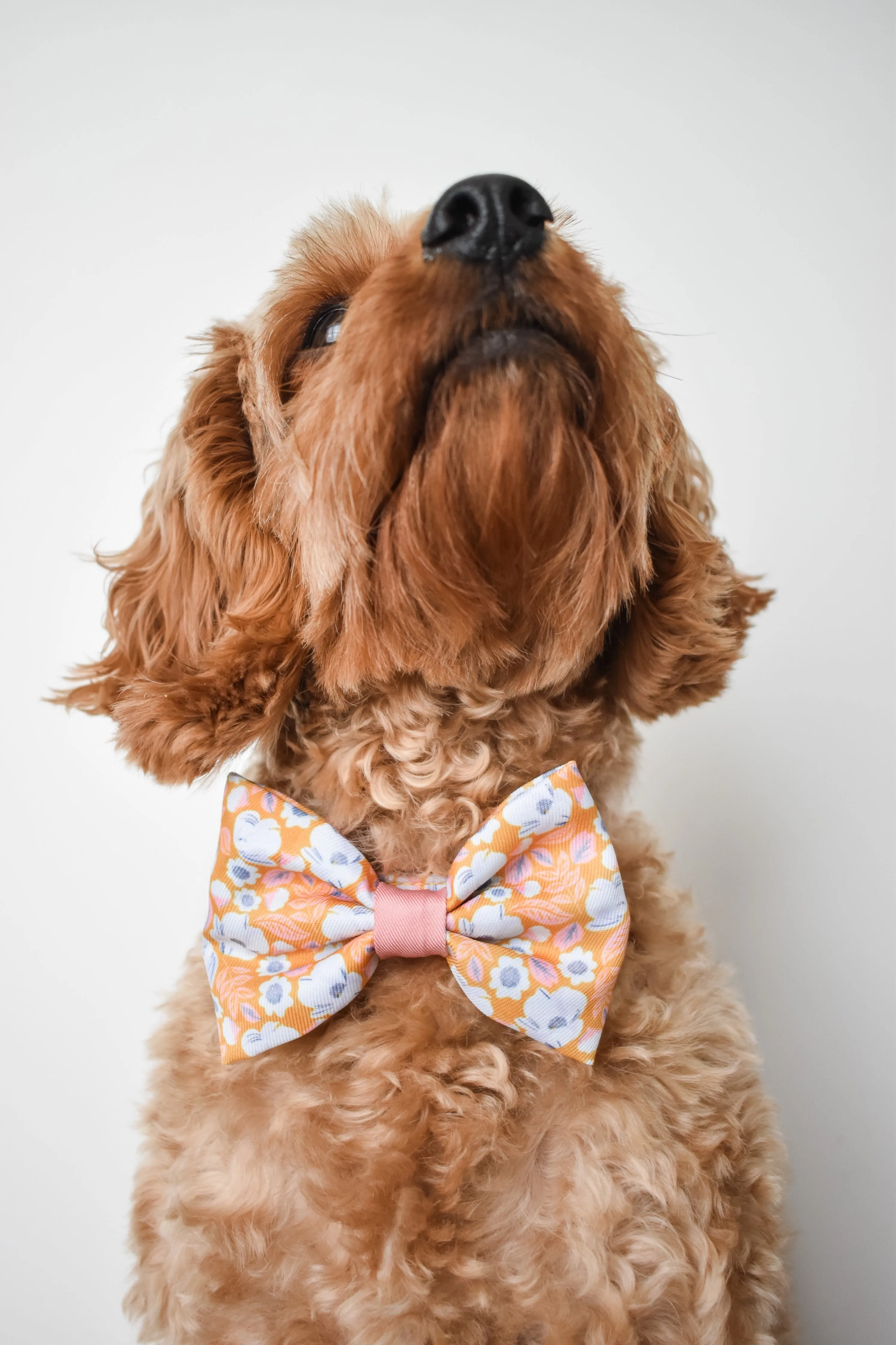 Summer Fling Bow